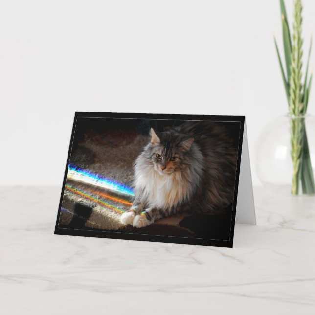 Cat Rainbow Bridge condolence note or greeting Card (Front)