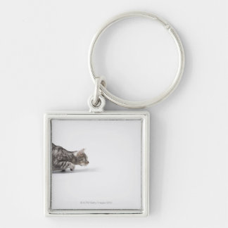 Cat ready to pounce key ring