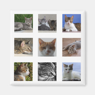 Cat Refrigerator Magnet