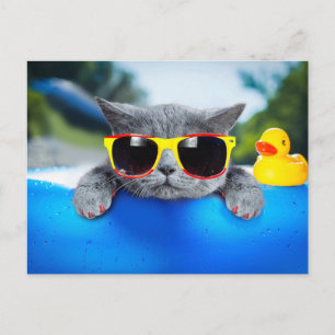 Cat rest in the pool on the air mattress postcard