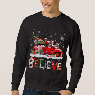 Cat Riding Red Truck Christmas Tree Believe Santa Sweatshirt