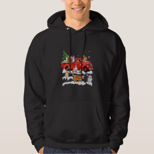 Cat Riding Red Truck Merry Christmas Kitten Xmas U Hoodie