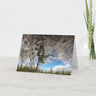 Cat Rock Trees Blank Card