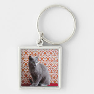 Cat (Russian blue) and wallpaper background Key Ring