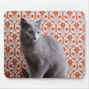 Cat (Russian blue) and wallpaper background Mouse Pad
