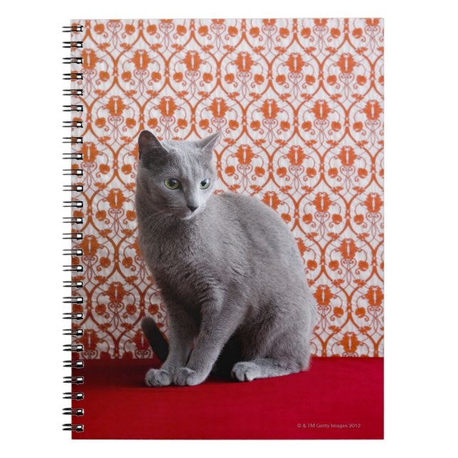 Cat (Russian blue) and wallpaper background Notebook (Front)