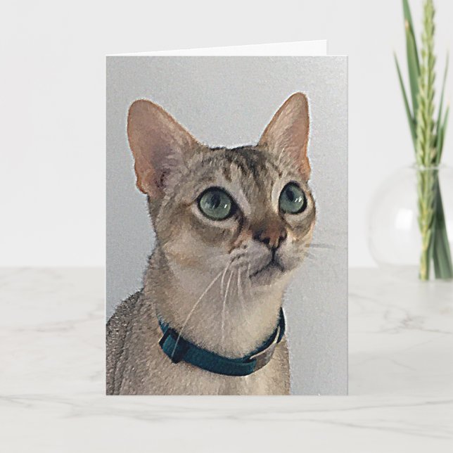 Cat’s Snarky Apology Birthday Card (Front)