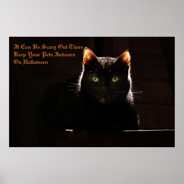 Cat Safety Poster (Front)