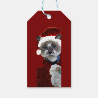 Cat Santa Claws Christmas Maureen Girard Blue Eye  Gift Tags