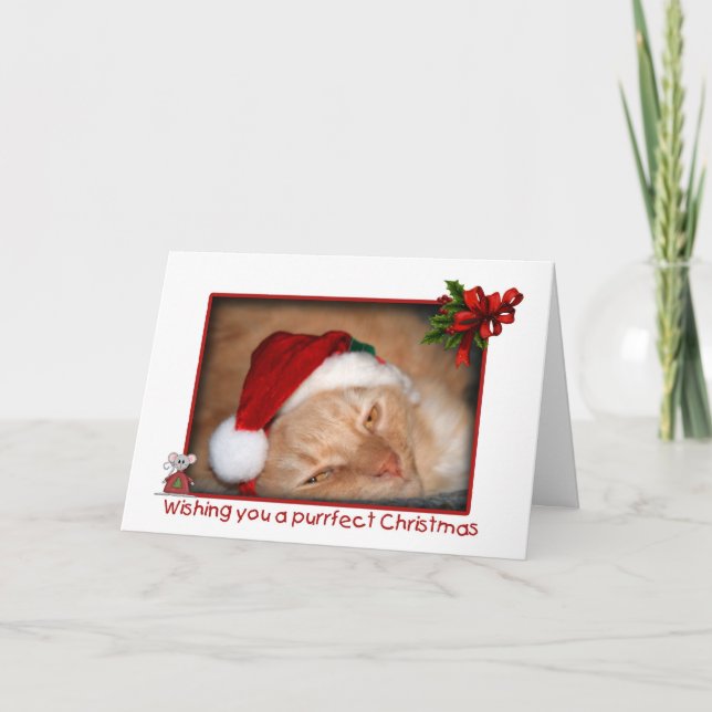 Cat Santa Hat Christmas Greeting Card (Front)