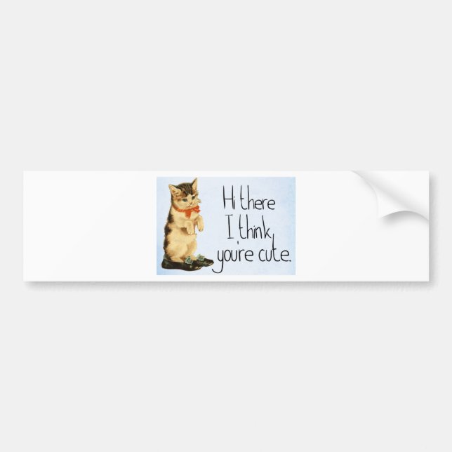 Cat Saying Bumper Sticker (Front)