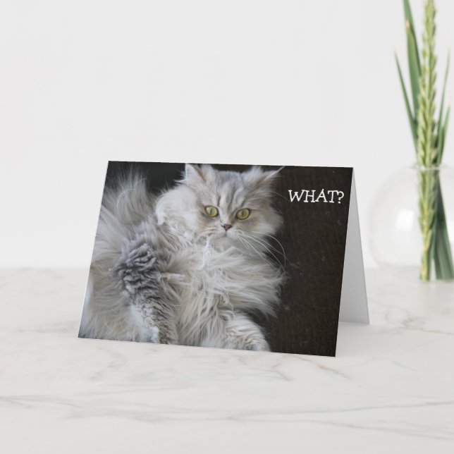Cat says "WHAT?" - funny Birthday Card (Front)