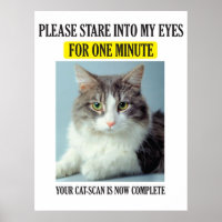 Cat Scan Poster