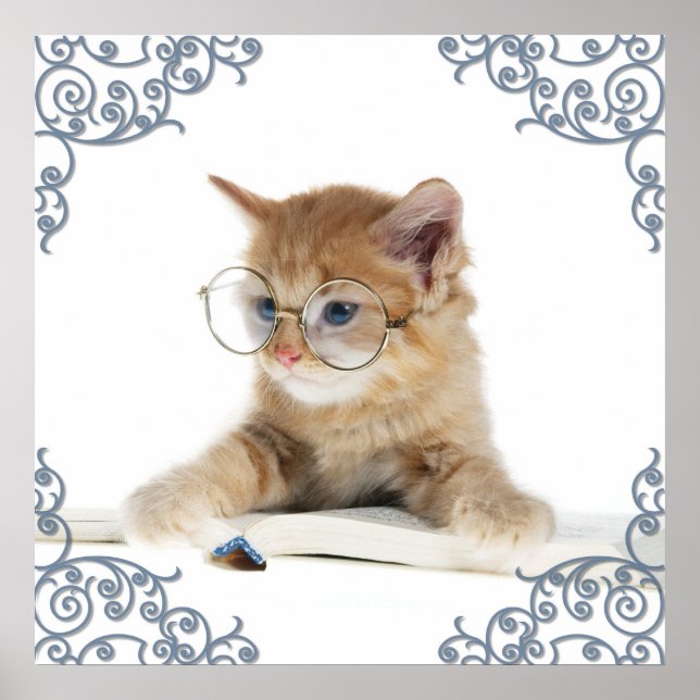 Cat Scholar Poster (Front)