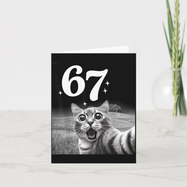 Cat Selfie With 67 Meme Funny Cats Graphic For Men Card (Front)