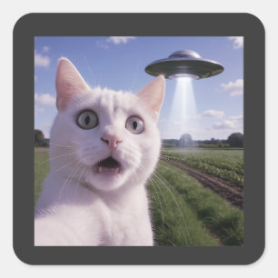 Cat Selfie With Alien Ufo Square Sticker