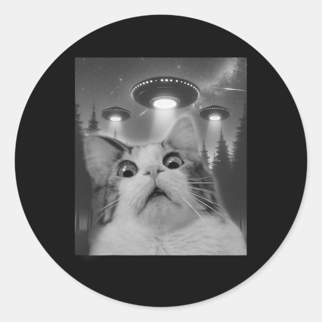 Cat Selfie With Ufos  Classic Round Sticker (Front)