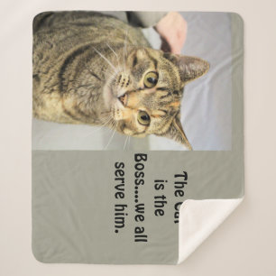 Cat sherpa blanket