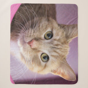 Cat Sherpa Blanket