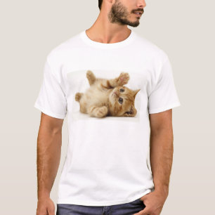 Cat shirt