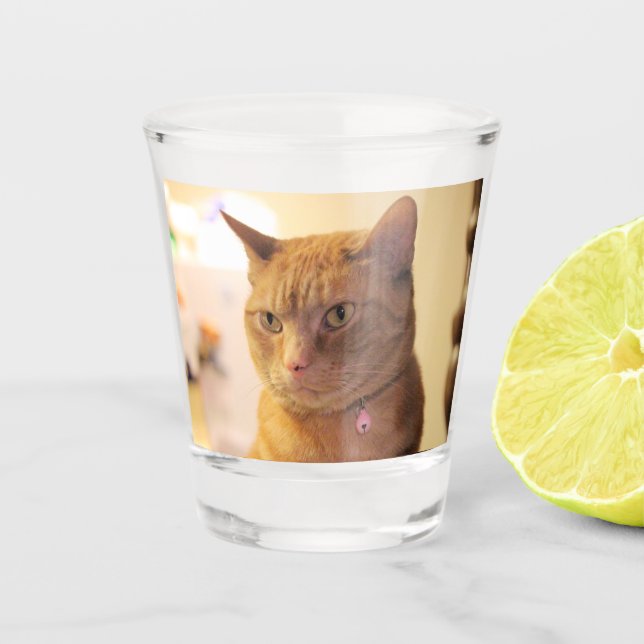 Cat Shot Glass (Front)