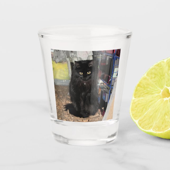 Cat Shot Glass (Front)
