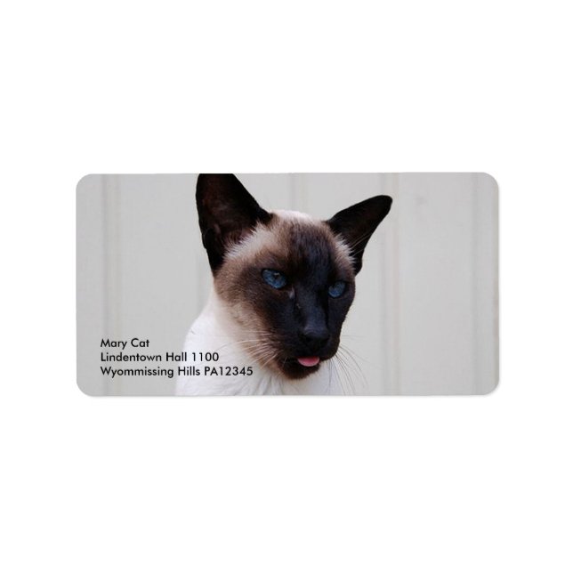 Cat Siamese Portrait Label (Front)