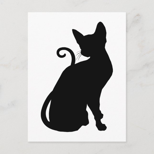 Cat Silhouette Postcard (Front)