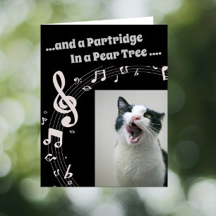 Cat SINGING Humor Song 2 Christmas Card