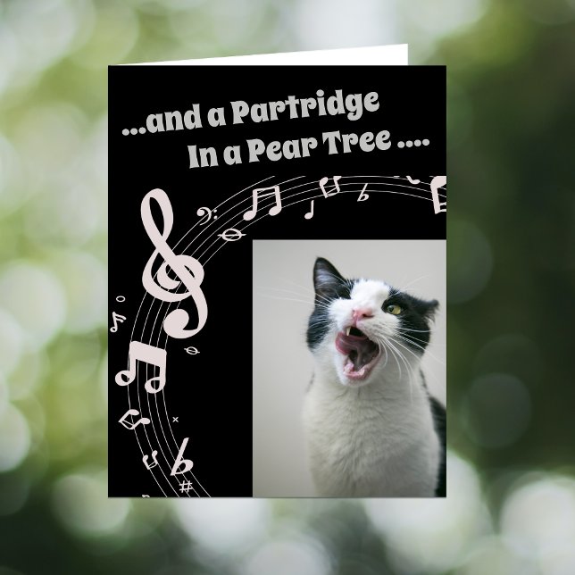 Cat SINGING Humor Song 2 Christmas Card (Creator Uploaded)