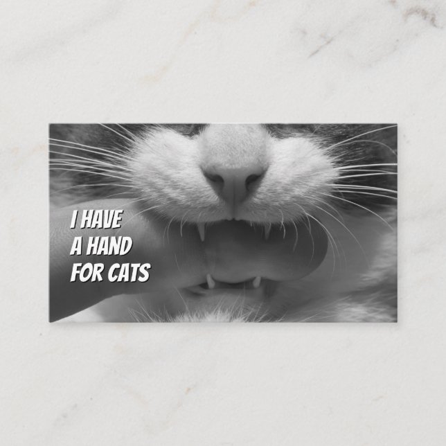 Cat sitters funny cat care pet care service busine business card (Front)