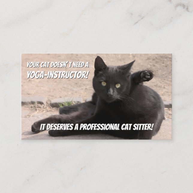 Cat sitters funny cat care pet care service business card (Front)