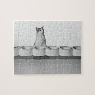 Cat sitting and licking beside pet bowl on white jigsaw puzzle
