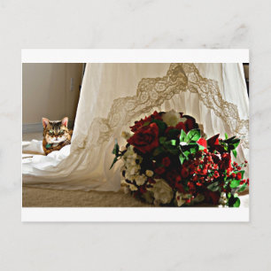 Cat Sitting Behind Wedding Dress Postcards