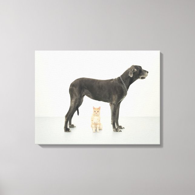 Cat sitting beneath Great Dane Canvas Print (Front)