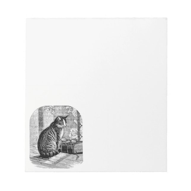 Cat Sitting by Window with Book Notepad (Front)