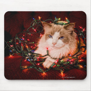 Cat sitting on a ball of Christmas lights. Mouse Pad