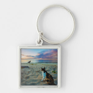 Cat Sitting On A Beach Key Ring
