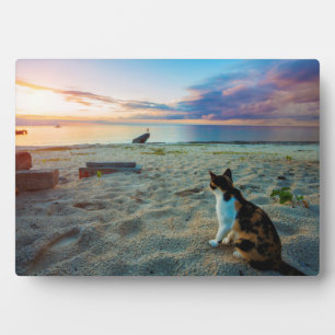 Cat Sitting On A Beach Plaque
