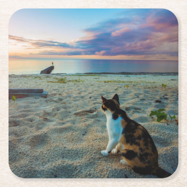 Cat Sitting On A Beach Square Paper Coaster (Front)