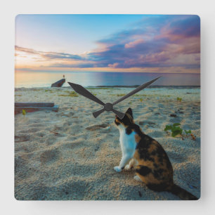 Cat Sitting On A Beach Square Wall Clock