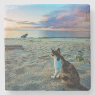 Cat Sitting On A Beach Stone Coaster