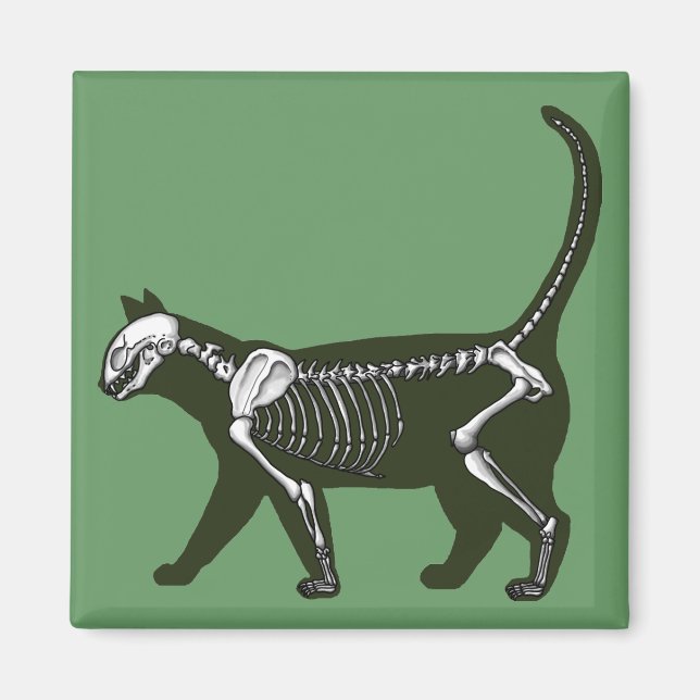 Cat Skeleton Magnet (Front)