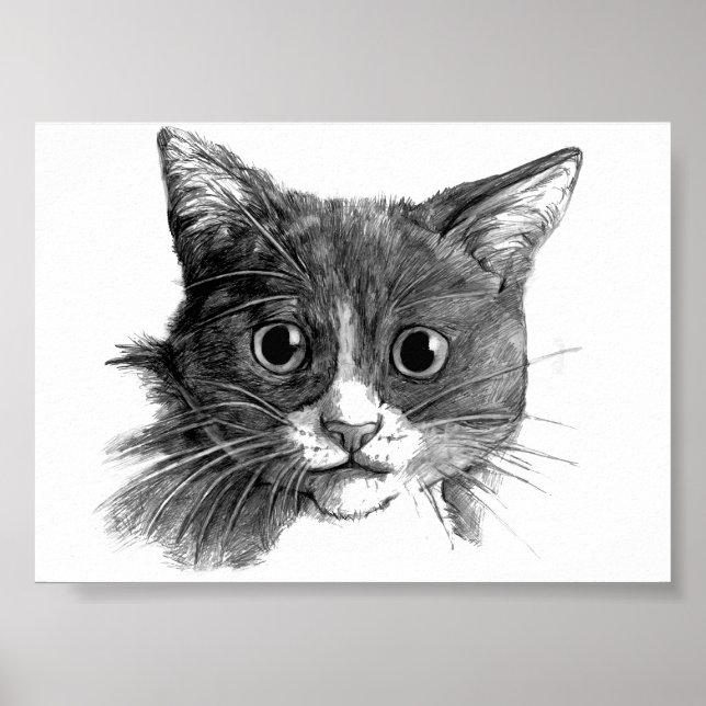 Cat Sketch Poster (Front)
