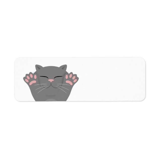 Cat Sleeping (Front)