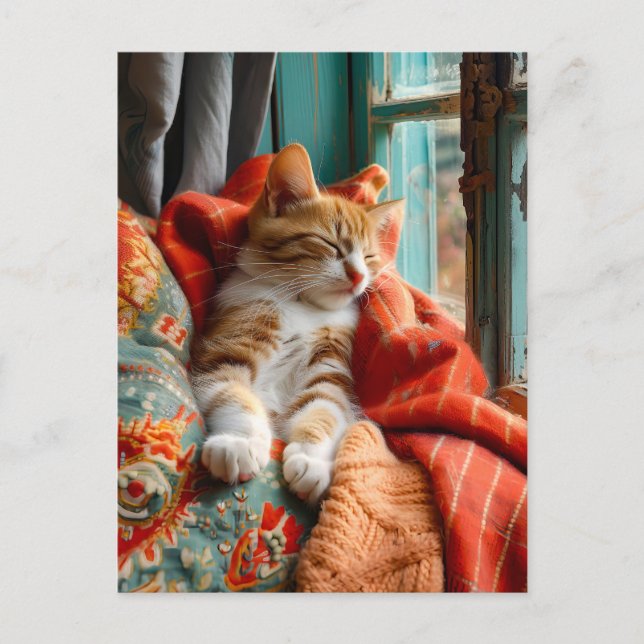 Cat Sleeping by Window with Pillow and Blanket Postcard (Front)
