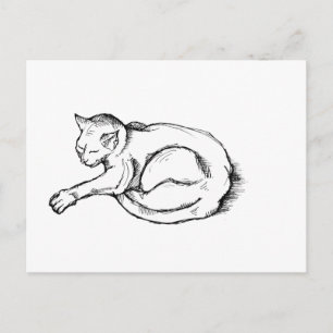 Cat Sleeping Illustration Pen Drawing Art Postcard