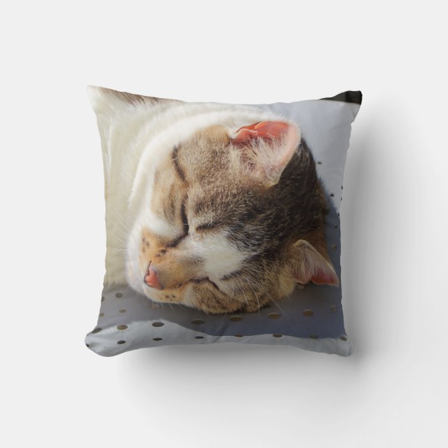 Cat sleeping in a garden cushion (Front)