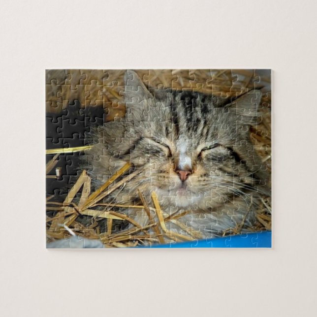 Cat Sleeping Kitty Photo  Jigsaw Puzzle (Horizontal)