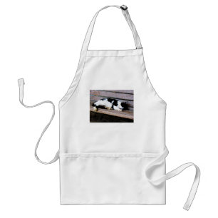 Cat Sleeping on Bench Standard Apron